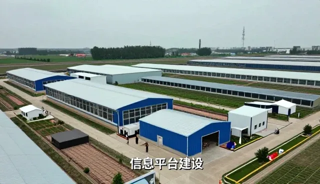 高峰期运行中的系统运维服务优势展示